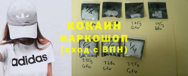 шишки Корсаков