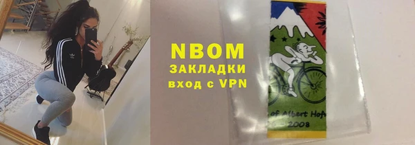 шишки Корсаков