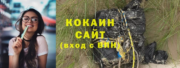 шишки Корсаков