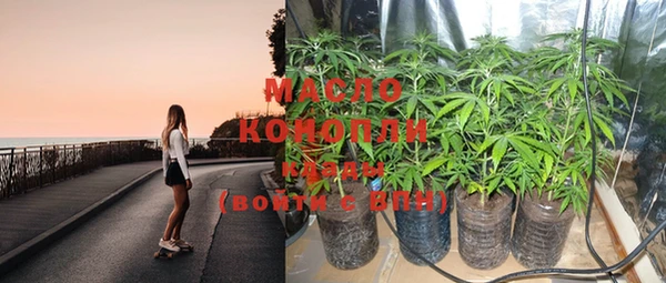 амф Кулебаки