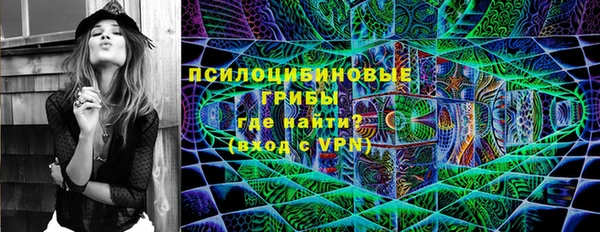бошки Костерёво