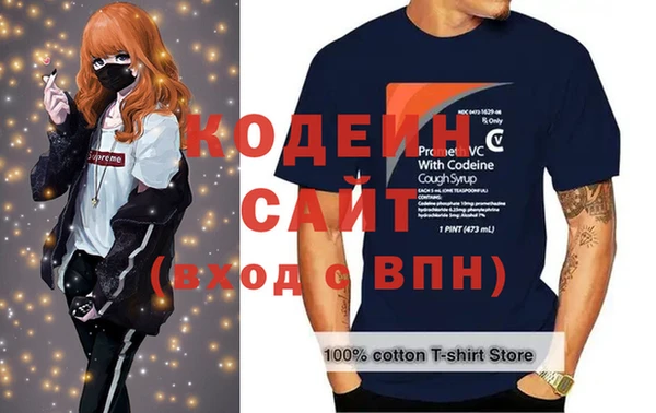 шишки Корсаков