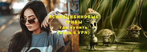 бошки Костерёво