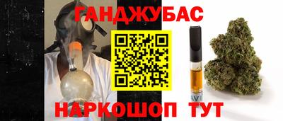 сатива Дубна
