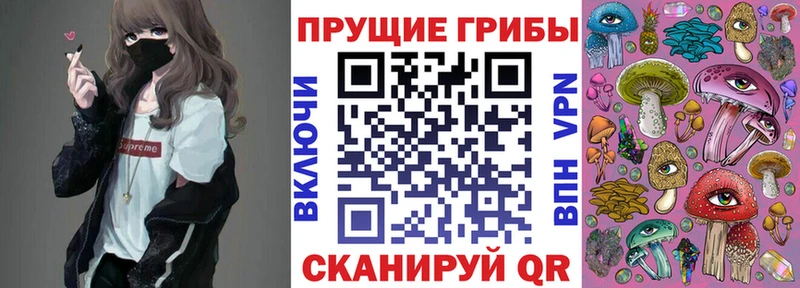 кракен tor  Барабинск  Галлюциногенные грибы прущие грибы 