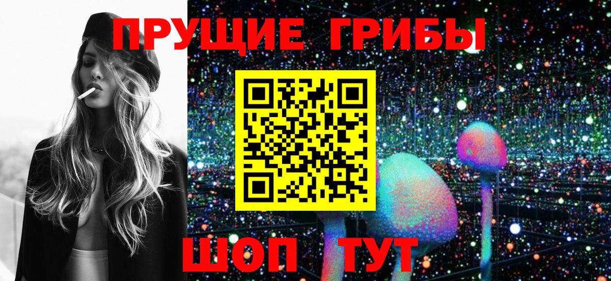 Барабинск  Псилоцибиновые грибы Psilocybe  Вход с VPN  Псилоцибиновые грибы мухоморы 